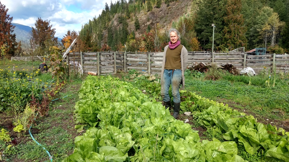 Cedarstein Farm post thumbnail image