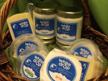 Assortment of Cheeses by White Drop